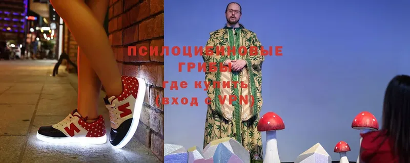 Псилоцибиновые грибы Cubensis Демидов